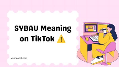SYBAU Meaning on TikTok