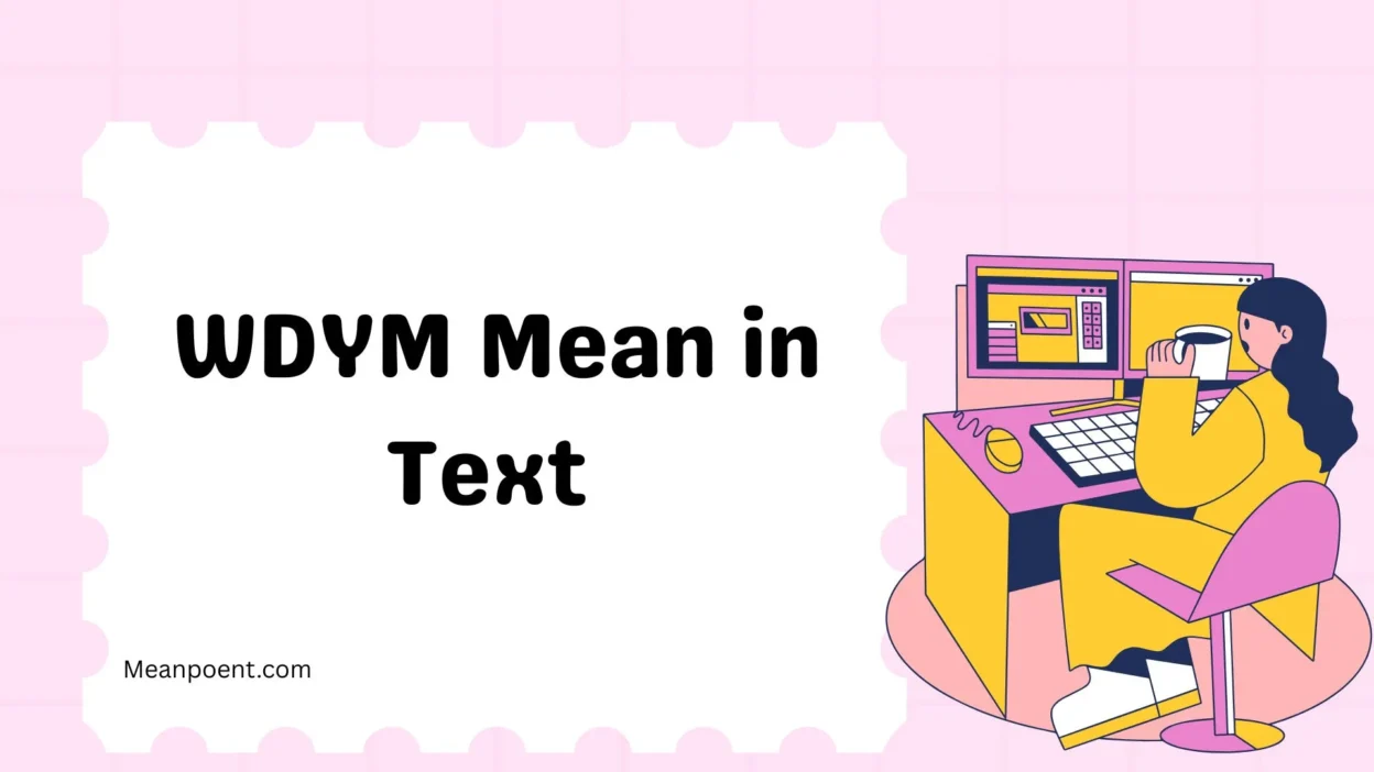 WDYM Mean in Text 