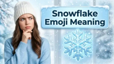Snowflake Emoji Meaning